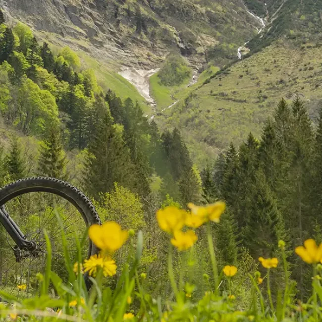 biking-in-scenic-mountainous