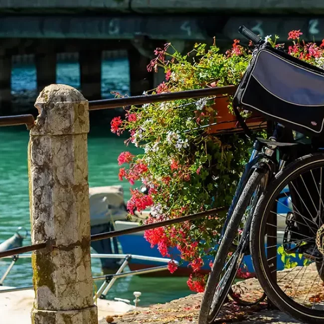 electric-bicycles-parked-by-tourists-who-rent-them