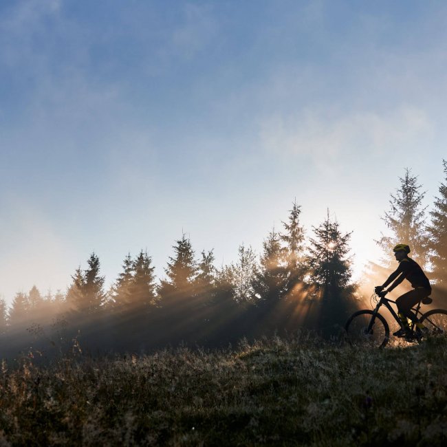 Silhouette of man in cycling suit riding bicycle in forest illuminated by morning sunlight. Male bicyclist cycling down grassy hill in the morning. Concept of sport, bicycling and active leisure.